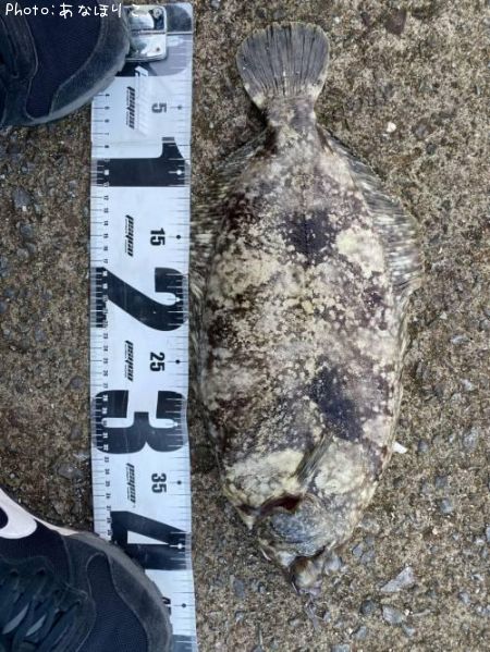 �ʥ᥿���쥤