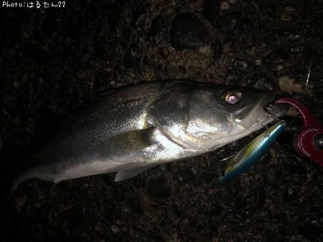 �����Х�