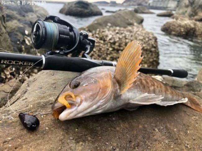 �����ʥ�