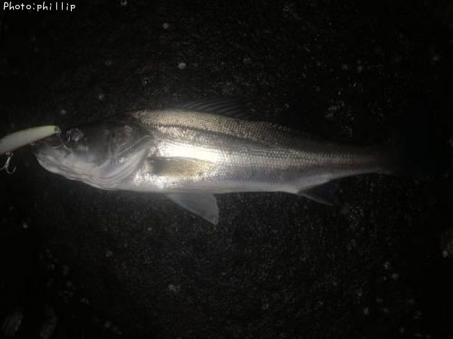 �����Х�