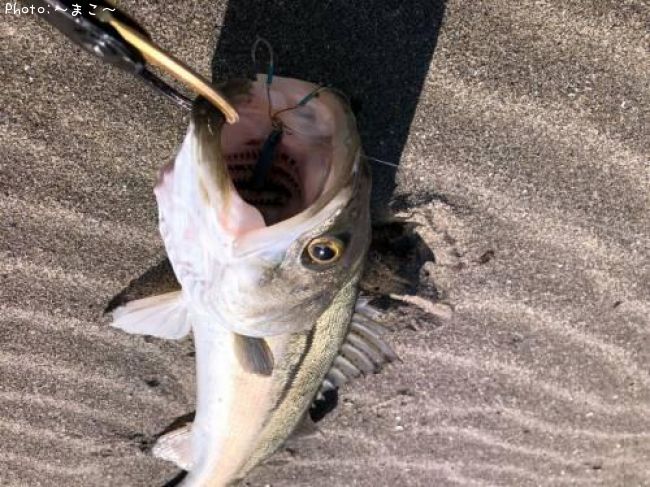 �����ե����Х�