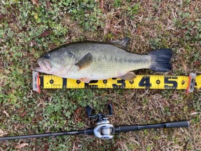 �֥�å��Х�