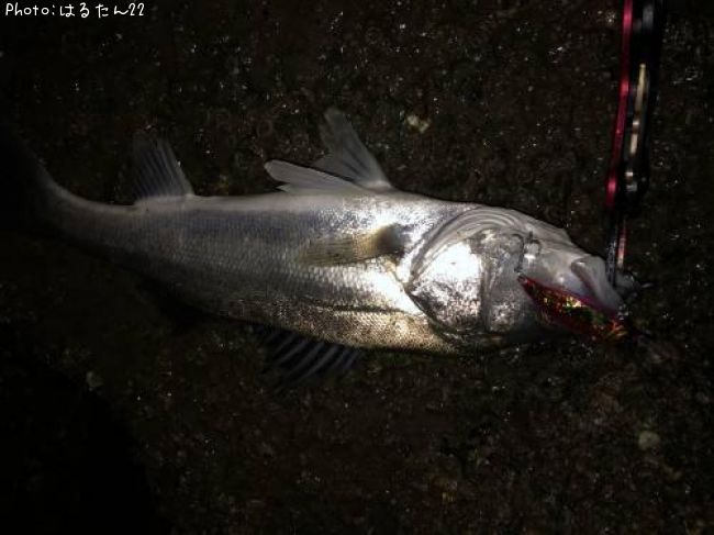 �����Х�