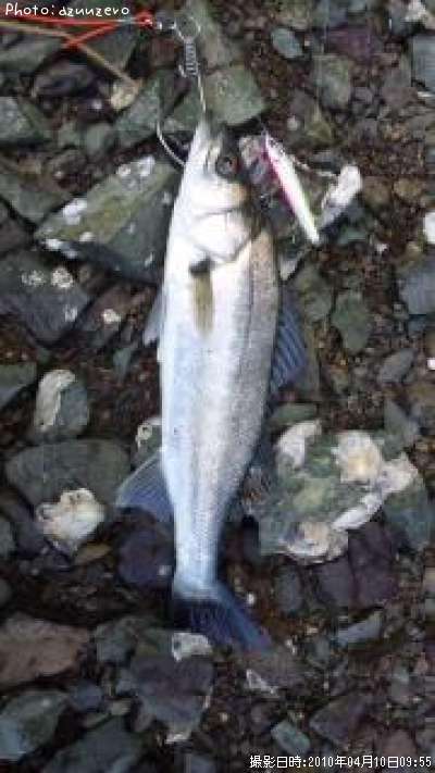 �����Х�