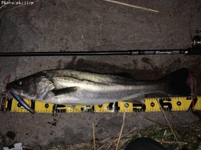 �����Х�