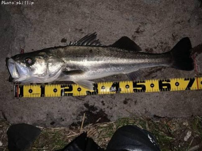 �����Х�