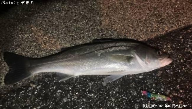 �����Х�