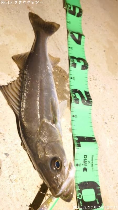 �����Х�