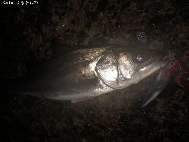 �����Х�