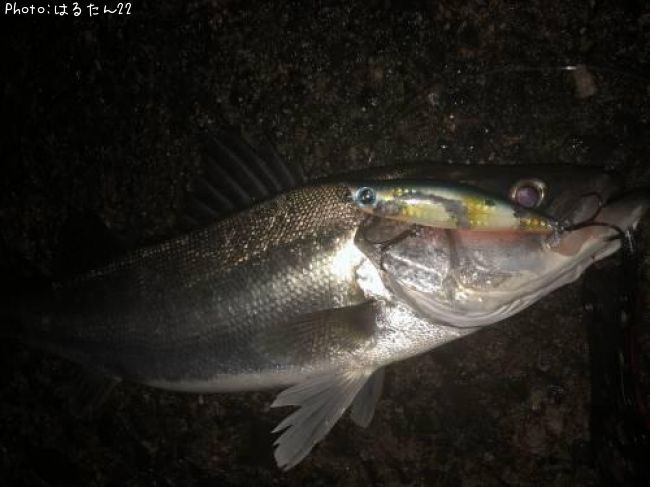 �����Х�