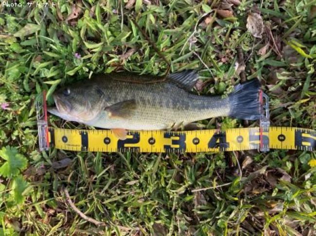 �֥�å��Х�