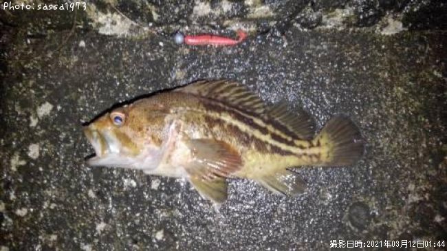 ���ޥ���