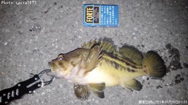 ���ޥ���