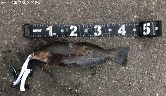 �����ʥ�