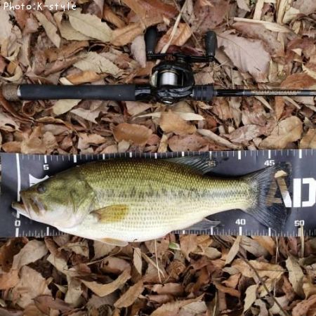 �֥�å��Х�