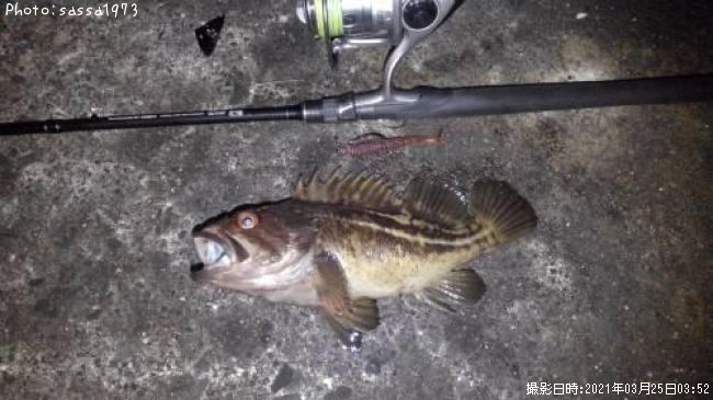 ���ޥ���