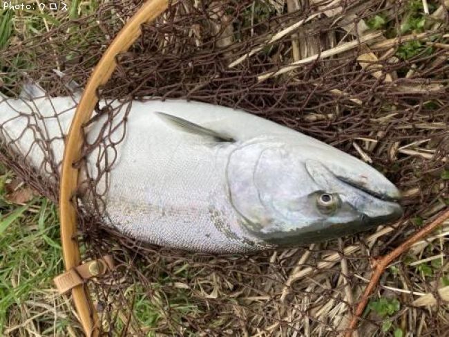 ������ޥ�