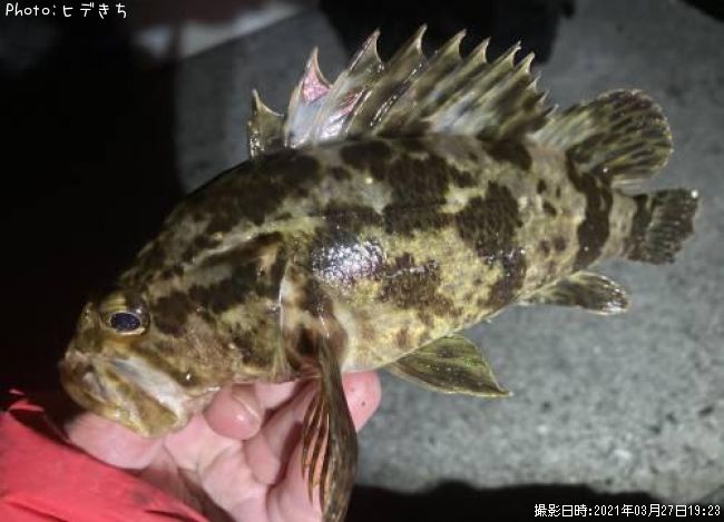 �����Υ���Х�