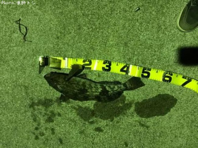 �����ʥ�