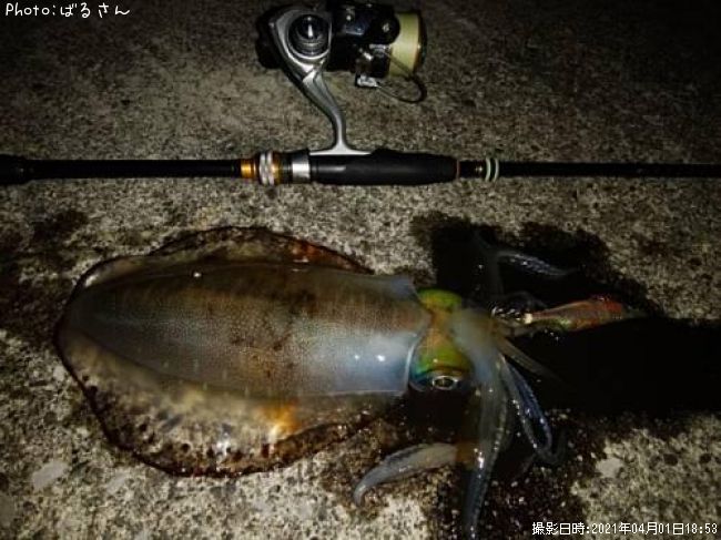 �����ꥤ��