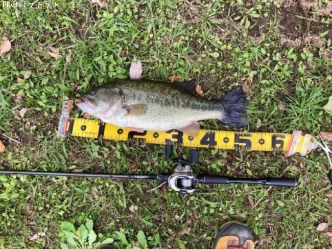 �֥�å��Х�