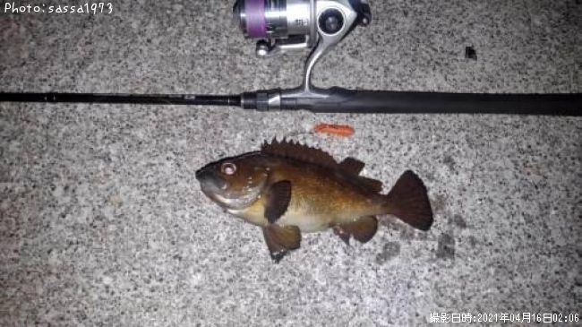 ������Х�