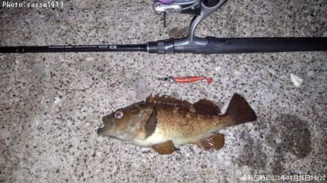 ������Х�