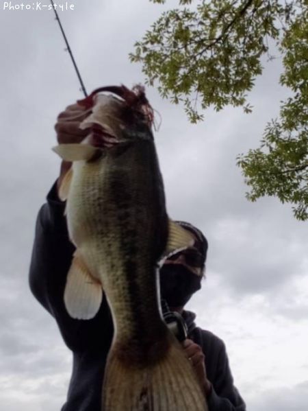 �֥�å��Х�