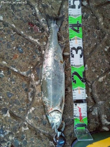 ������ޥ�