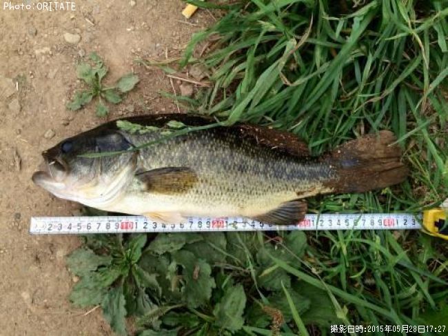 �֥�å��Х�