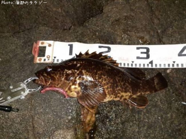 �����Υ���Х�