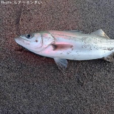 �����Х�