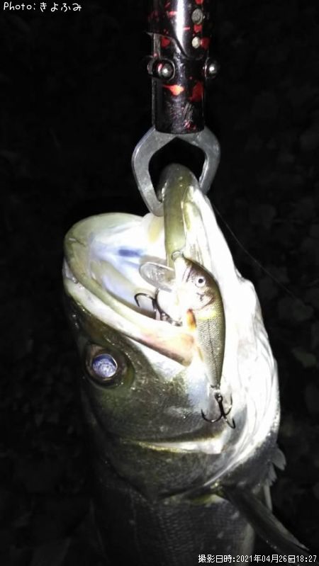 �����Х�