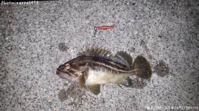 ���ޥ���