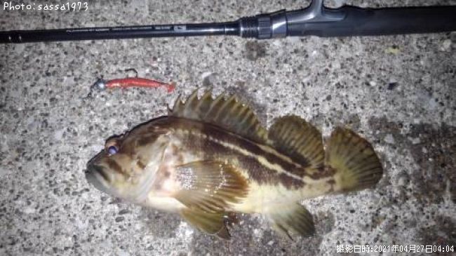 ���ޥ���