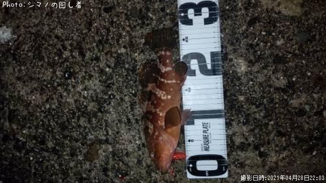 �����ϥ�