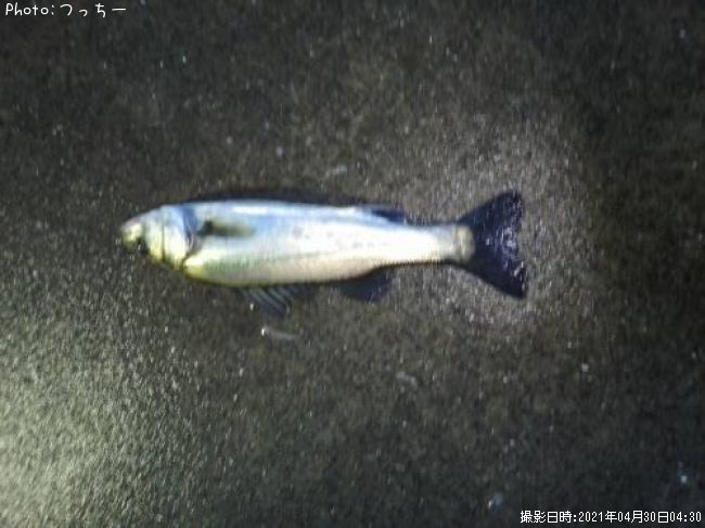 �����Х�