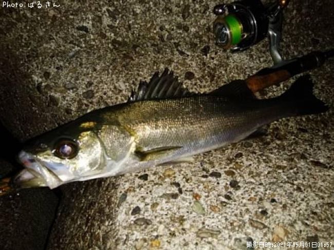 �����Х�