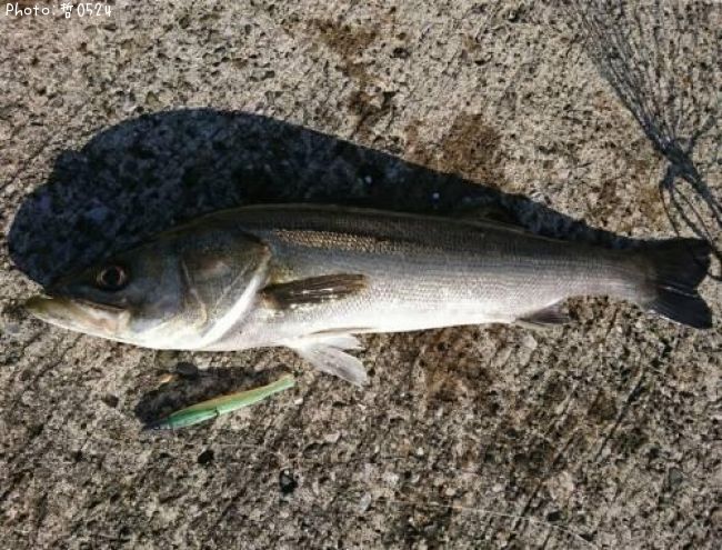 �����Х�