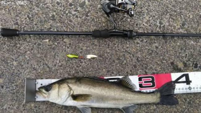 �����Х�