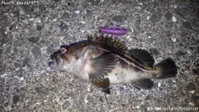 ���ޥ���