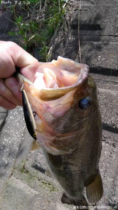 �֥�å��Х�