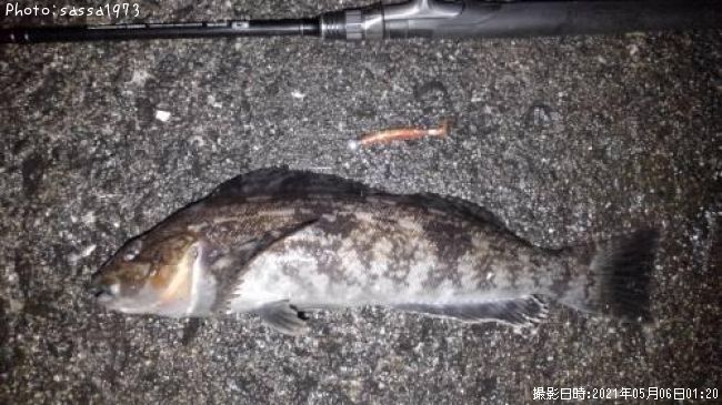 �����ʥ�