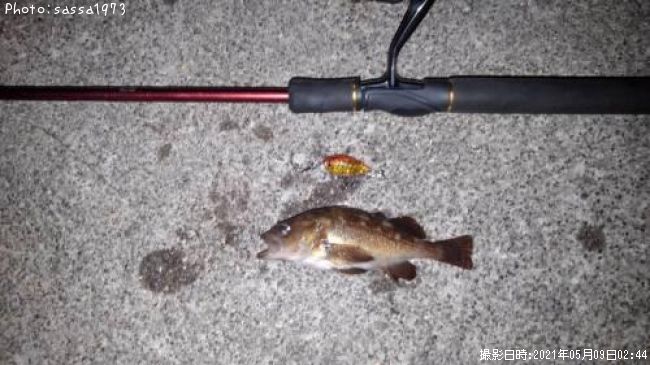 ������Х�