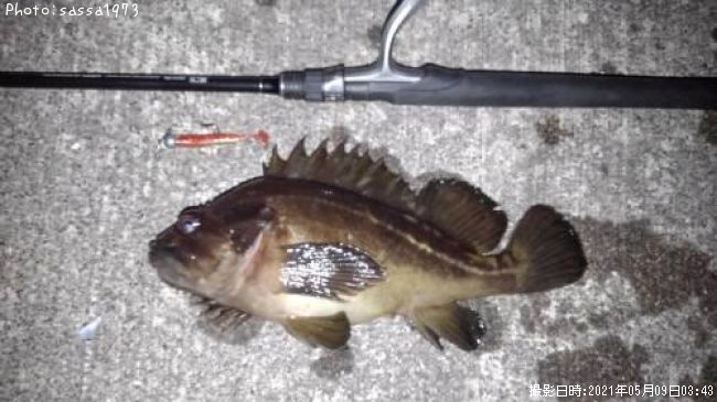 ���ޥ���