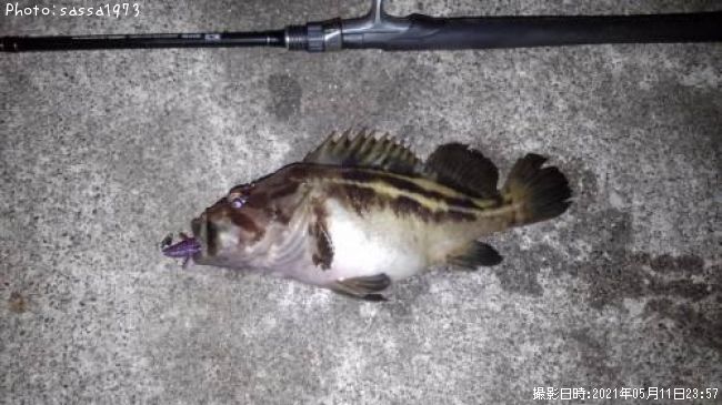 ���ޥ���