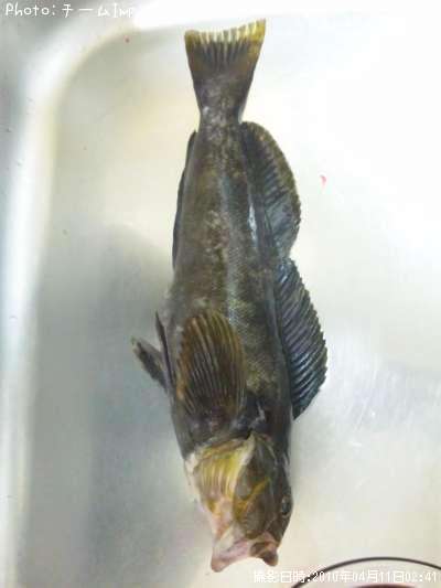 �����ʥ�