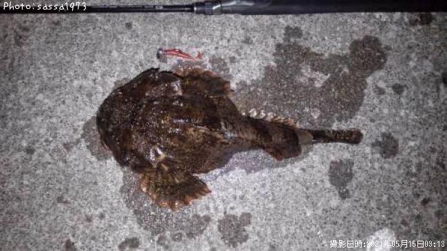 �ȥ�������