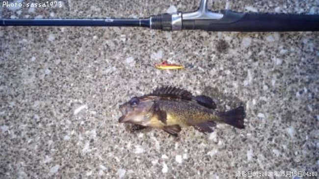 ������Х�