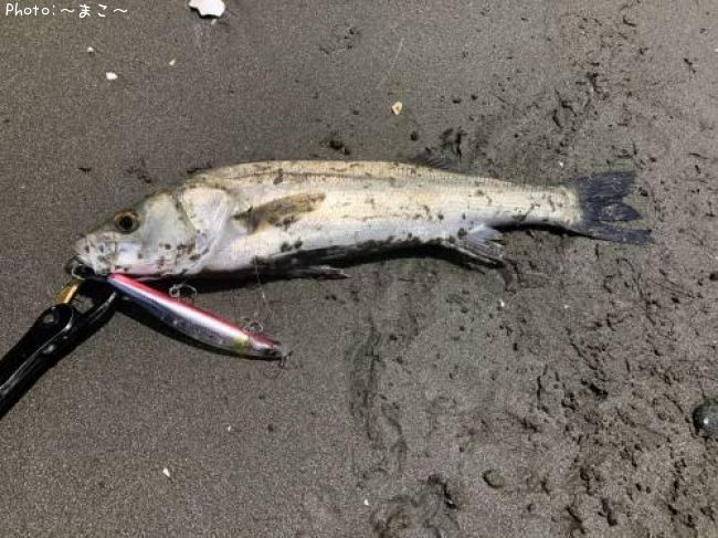 �����ե����Х�